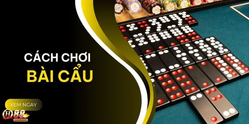 Những thuật ngữ quan trọng khi chơi bài cẩu online