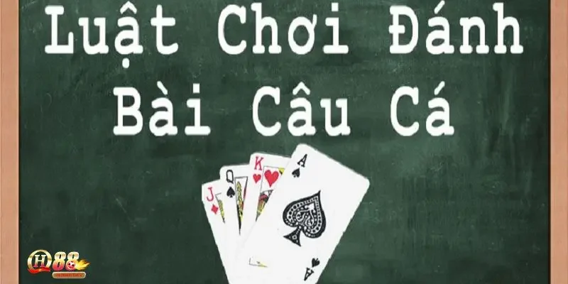 Hướng dẫn chơi bài câu cá dễ hiểu cho người mới bắt đầu