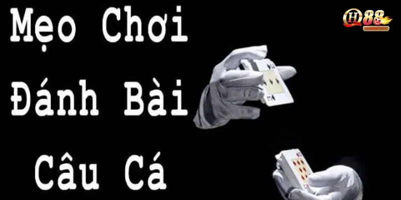 Tổng hợp về những quy tắc cần biết khi chơi bài câu cá