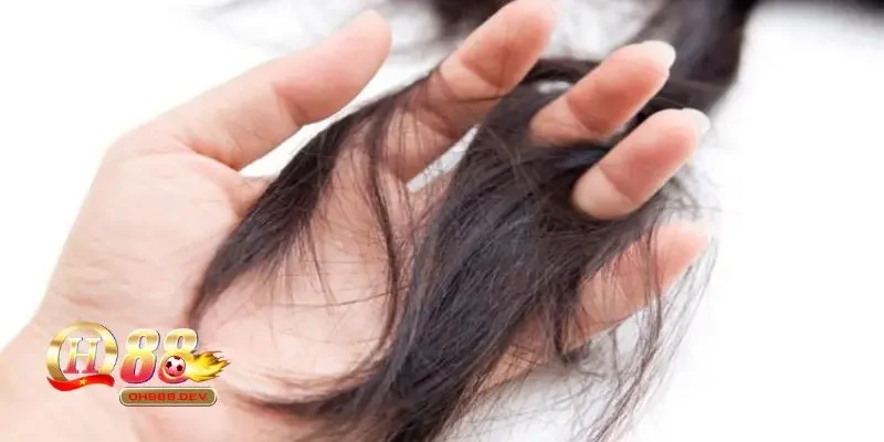 Giải mã ngủ mơ thấy rụng tóc là điềm báo gì cho tương lai