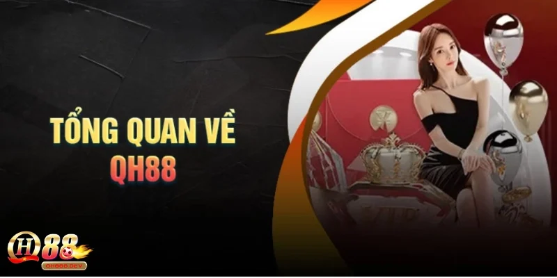 Quá trình hình thành và phát triển Qh88